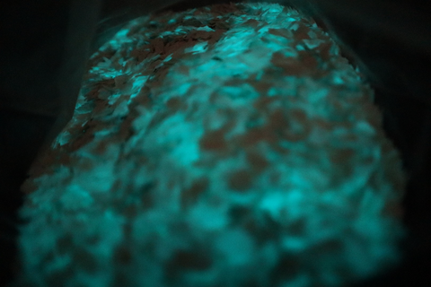 DARK BLUE GLOW IN THE DARK FLAKES